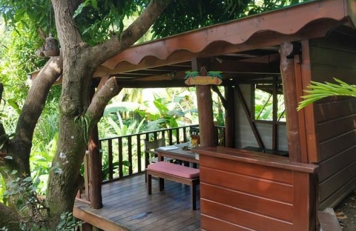 Ensemble 4 habitations + 4 piscines - Terrain 4845m2 - RIVIERE PILOTE