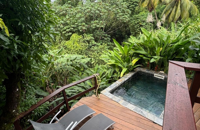 Ensemble 4 habitations + 4 piscines - Terrain 4845m2 - RIVIERE PILOTE