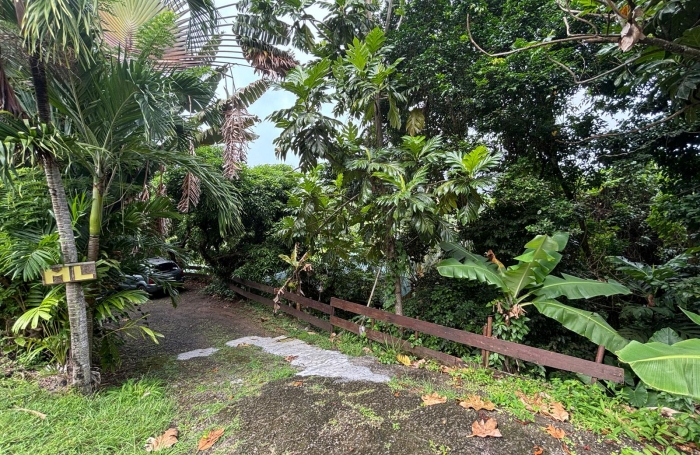 Ensemble 4 habitations + 4 piscines - Terrain 4845m2 - RIVIERE PILOTE