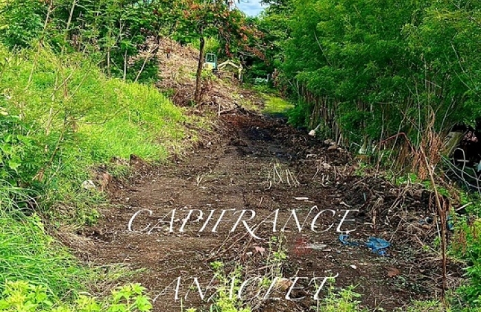 Vente Terrain 1606m&sup2; Case-Pilote