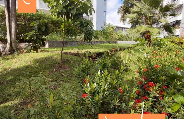 Vente Appartement 97233