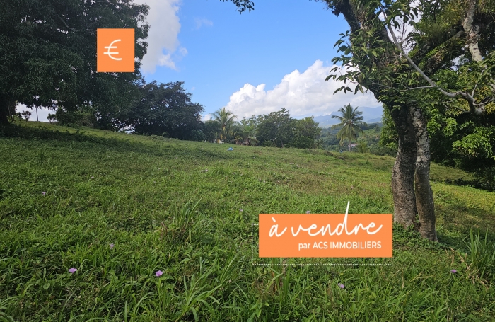 Vente Terrain 97231