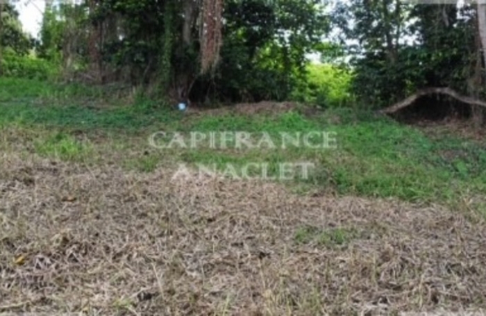 Vente Terrain 2500m&sup2; Le Lamentin
