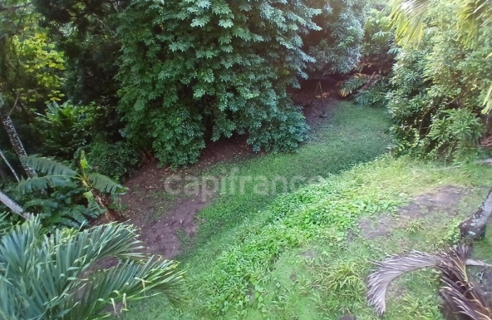 Vente Maison 270m&sup2; 13 pièces Rivi&egrave;re Pilote