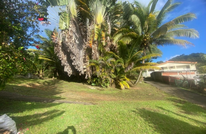 Vente Maison 67m&sup2; 4 pièces Rivi&egrave;re Sal&eacute;e