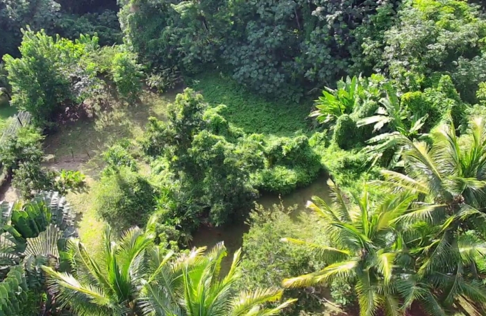 Vente Maison 67m&sup2; 4 pièces Rivi&egrave;re Sal&eacute;e