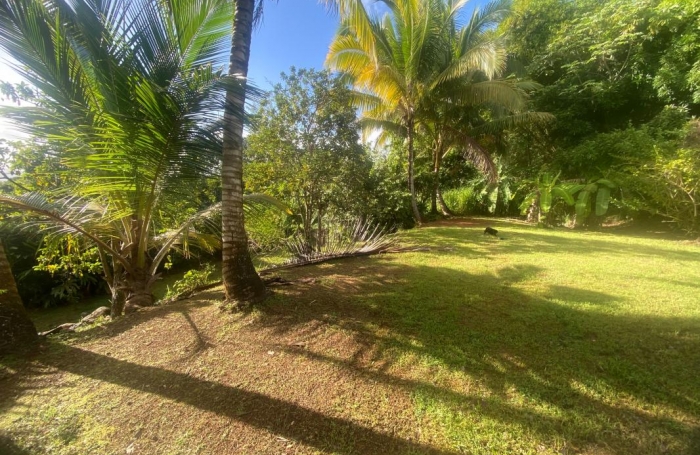 Vente Maison 67m&sup2; 4 pièces Rivi&egrave;re Sal&eacute;e