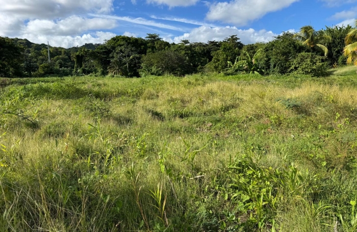Terrain &agrave; bartir - Le Robert