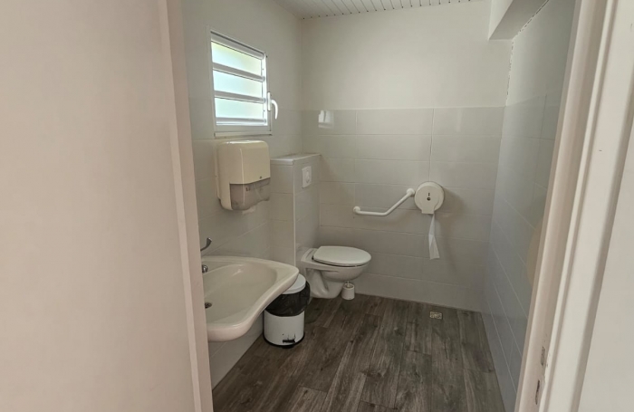 Basse-Pointe   Vue mer   Bien mixte habitation / professionnel