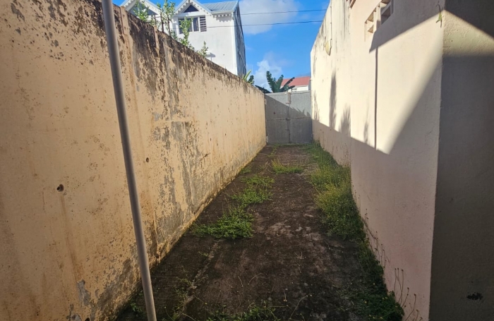 Rivi&egrave;re-Sal&eacute;e   Bien professionnel &agrave; fort potentiel   210 m2 + terrasses