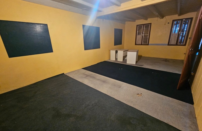 Rivi&egrave;re-Sal&eacute;e   Bien professionnel &agrave; fort potentiel   210 m2 + terrasses