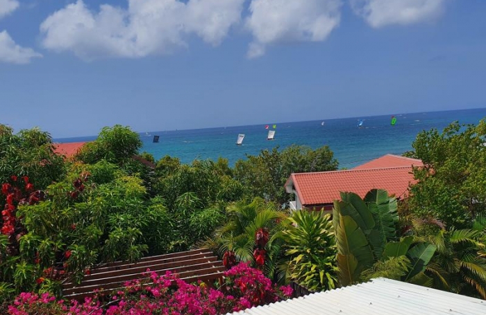 Location Appartement 97228