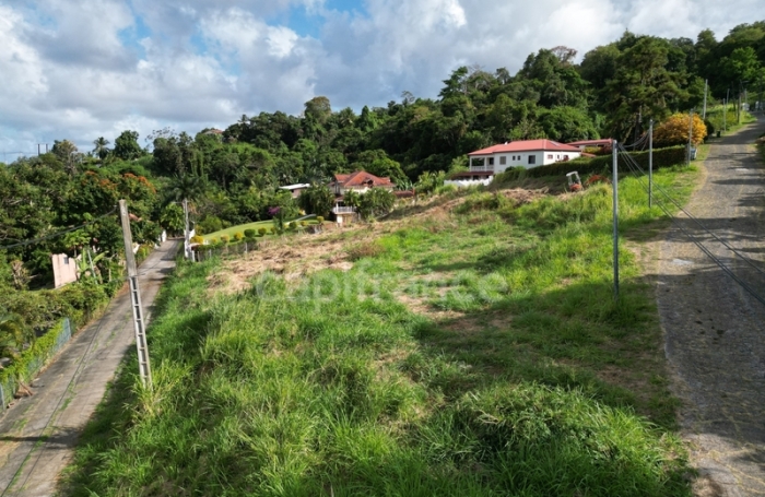 Vente Terrain 2822m&sup2; La Trinit&eacute;
