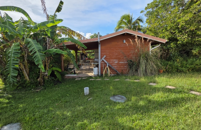Ravissante maison de campagne de plain-pied avec grand jardin arbor&eacute; &agrave; RIVIERE-PILOTE