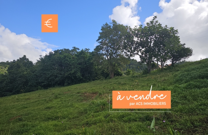 Vente Terrain 97231