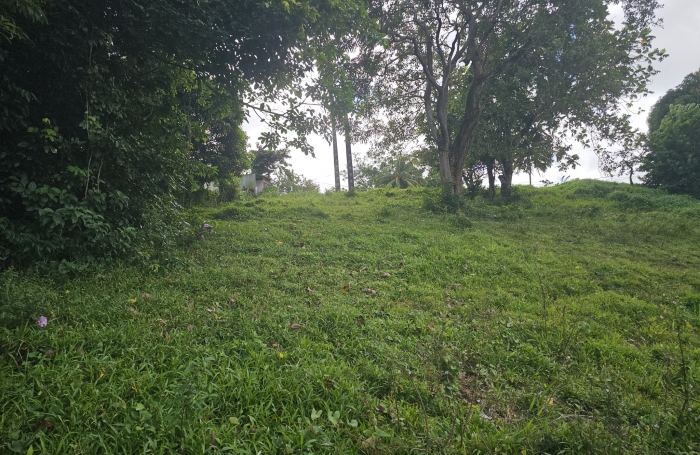 Terrain &agrave; b&acirc;tir de 1353 m2 dont 751 m2 constructibles - LE ROBERT