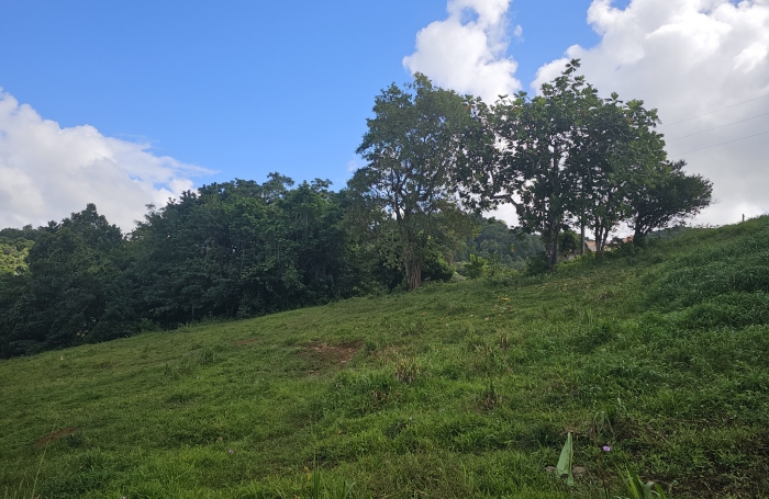 Terrain &agrave; b&acirc;tir de 1353 m2 dont 751 m2 constructibles - LE ROBERT