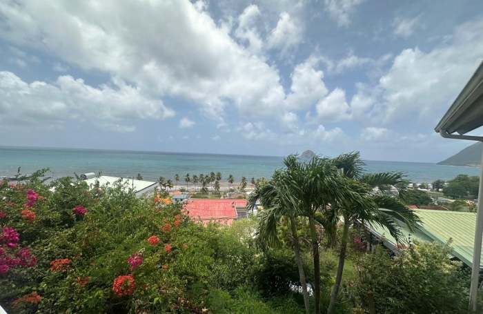 Vente Maison 97223