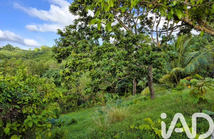 Vente Terrain 1405m&sup2; Ducos