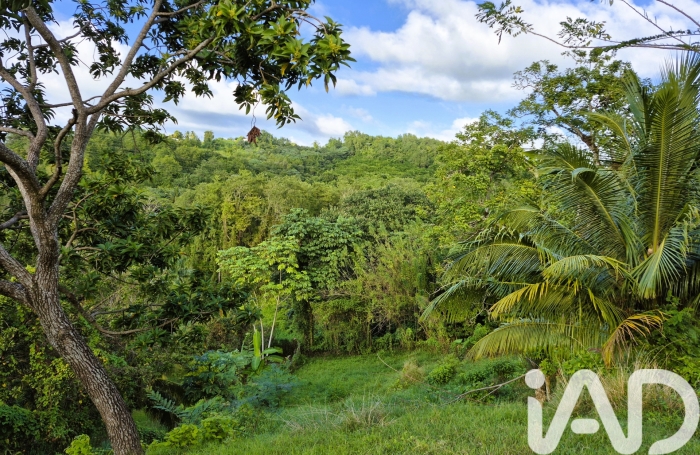 Vente Terrain 1405m&sup2; Ducos