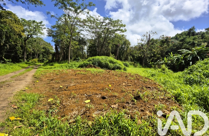 Vente Terrain 97224