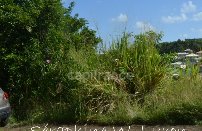 Vente Terrain 1984m&sup2; La Trinit&eacute;