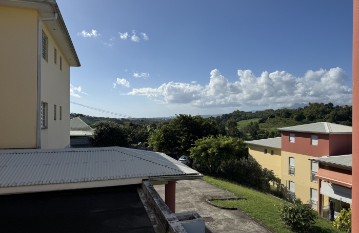 Appt T2 vue d&eacute;gag&eacute;e avec garage