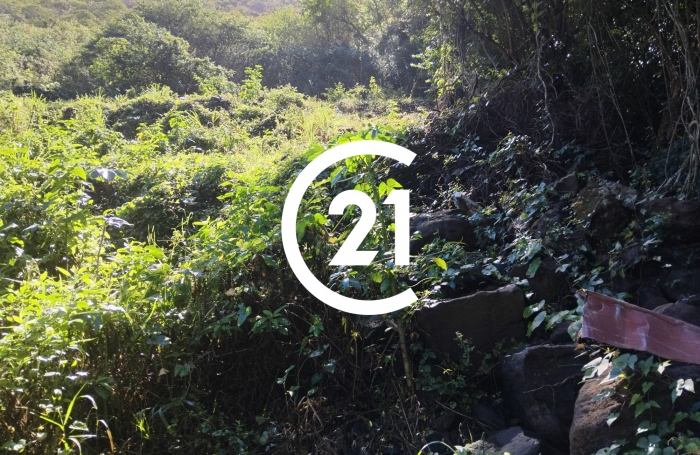 Vente Terrain 3031m&sup2; Case-Pilote