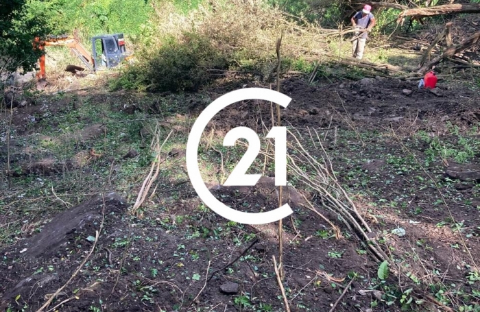 Vente Terrain 3031m&sup2; Case-Pilote