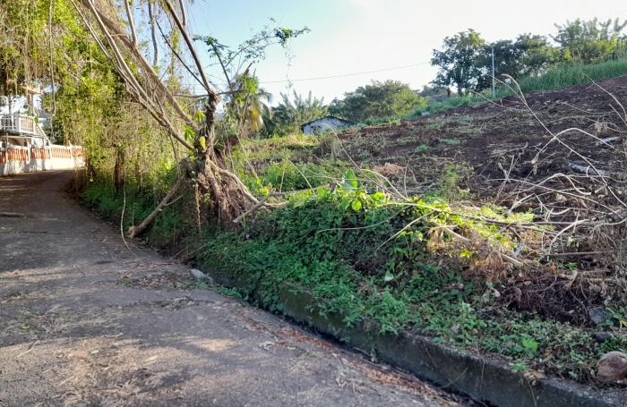 Terrain &agrave; vendre au quartier Desmarini&egrave;res - RIVIERE-SALEE