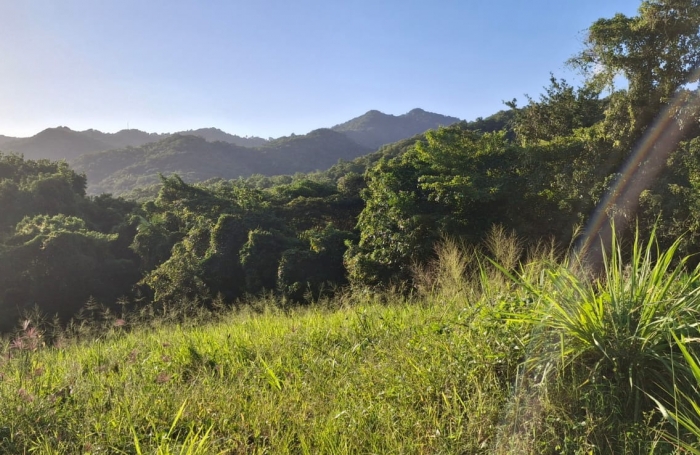 Terrain &agrave; vendre au quartier Concorde - TROIS-ILETS