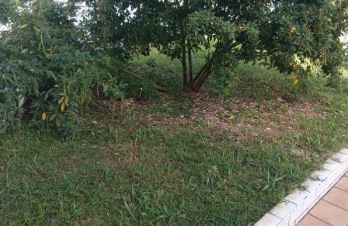 Vente Maison 206m&sup2; 4 pièces Basse-Pointe