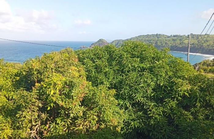 Vente Immeuble 240m&sup2; 12 pièces Le Marigot