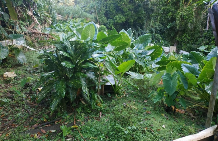 Vente Maison 80m&sup2; 4 pièces Gros Morne