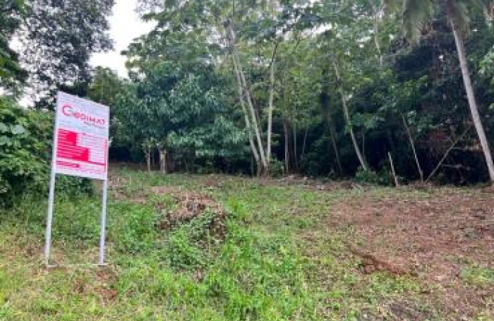 Vente Terrain 500m&sup2; Le Lamentin