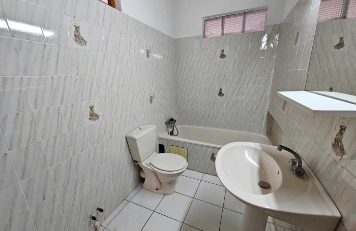 Immeuble de deux appartements + un espace commercial, bourg - SAINTE-LUCE