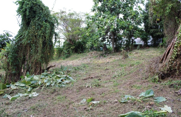 Vente Terrain 1075m&sup2; La Trinit&eacute;