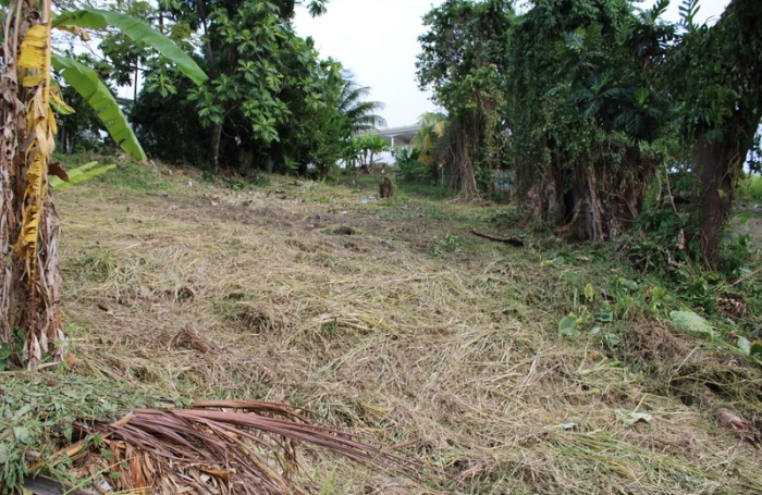 Vente Terrain 1075m&sup2; La Trinit&eacute;
