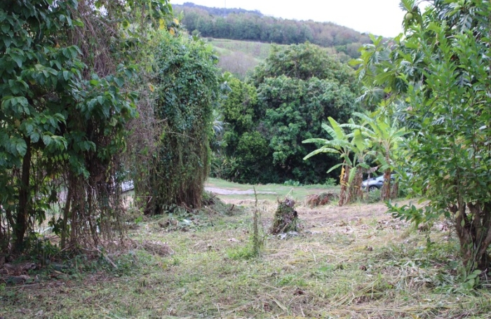 Vente Terrain 1075m&sup2; La Trinit&eacute;