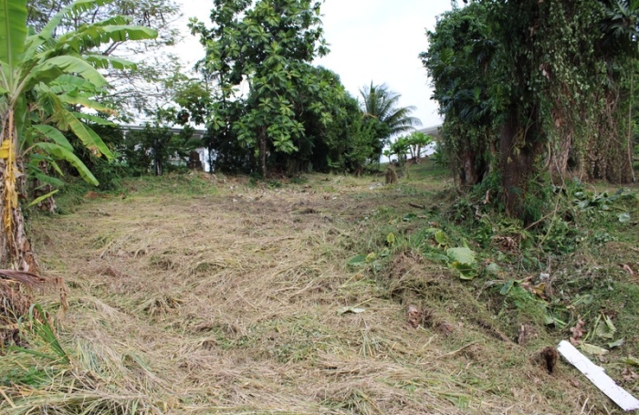 Vente Terrain 1075m&sup2; La Trinit&eacute;