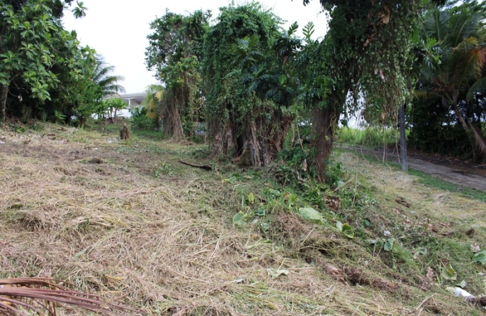 Vente Terrain 1075m&sup2; La Trinit&eacute;