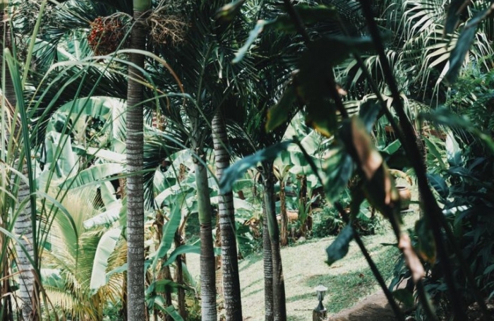 Vente Maison 200m&sup2; 6 pièces Rivi&egrave;re Pilote