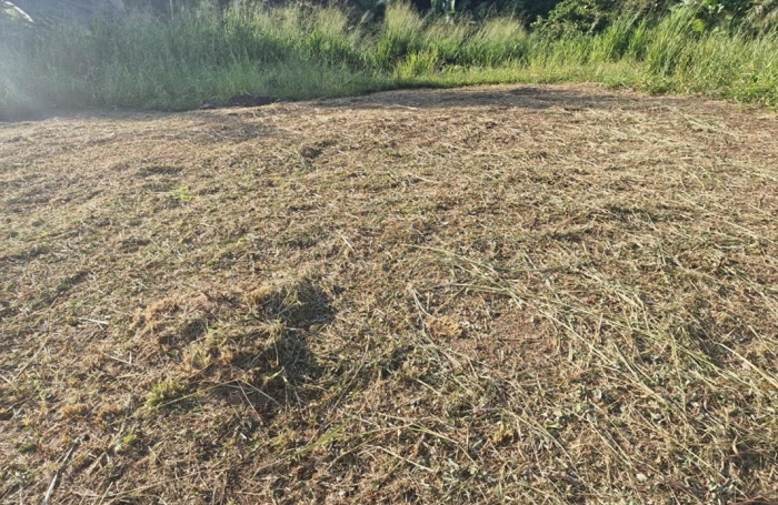 Vente Terrain 517m&sup2; Schoelcher