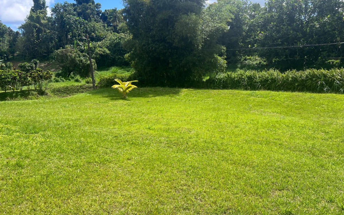 Vente Terrain 