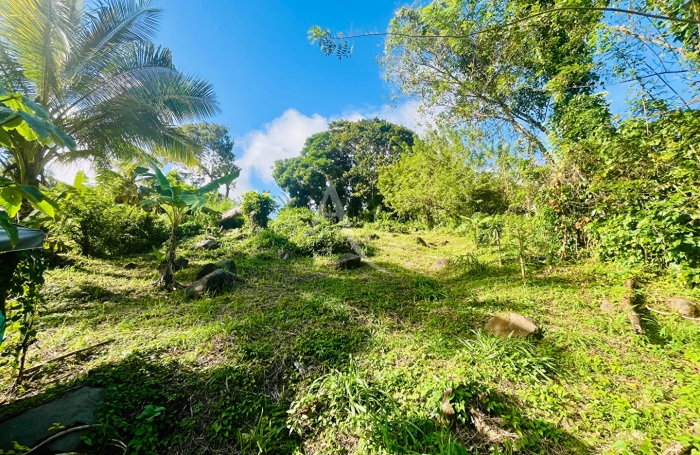 Vente Terrain 
