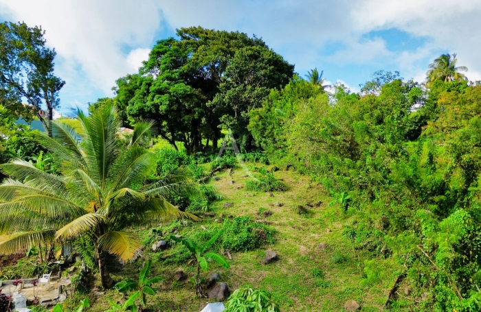Vente Terrain 864m&sup2; Sainte Luce