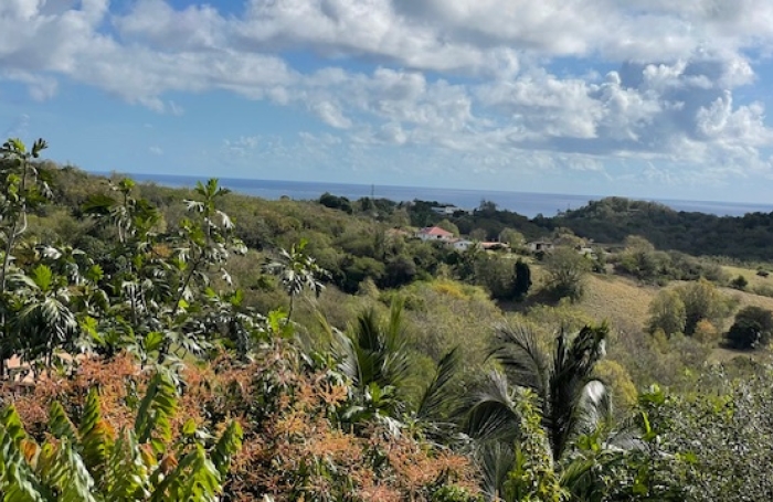 Maison F4 sur les hauteurs du Vauclin - Pas d'odeur de sargasses ...