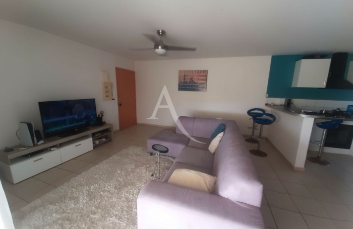 Location Appartement 