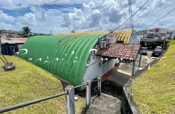 Local entrep&ocirc;t 140 m2 - 4,17 m sous plafond, double acc&egrave;s - ZI Cocotte - Ducos