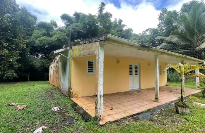 Ensemble immobilier une maison F4 avec une d&eacute;pendance F3 sur un grand terrain - AJOUPA BOUILLON